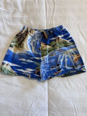 Authentic Made in Hawaii Tropical Print Shorts Boys 24 Months
